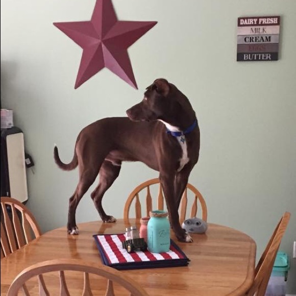 Meet your Posher - Picture 1 of 1